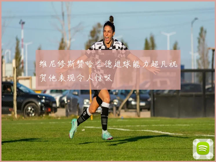 维尼修斯赞哈兰德进球能力超凡祝贺他表现令人惊叹