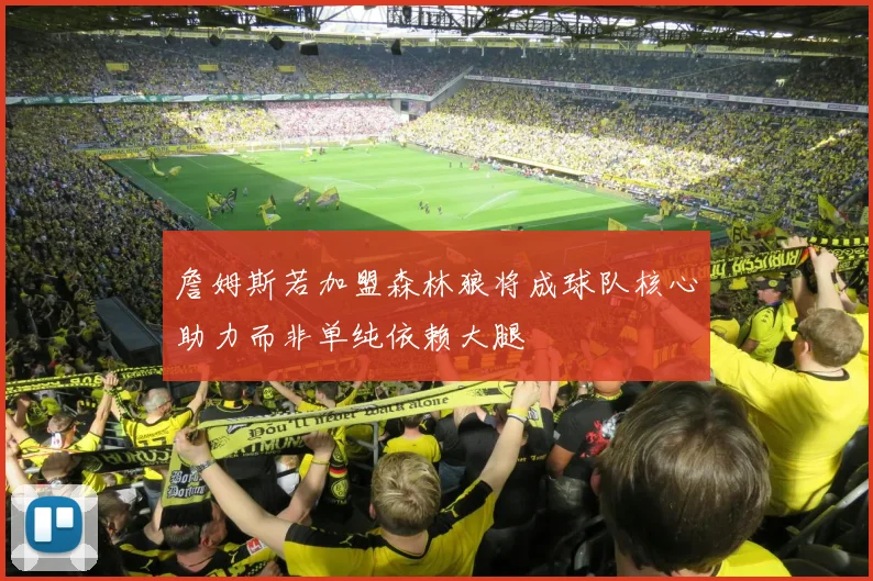 詹姆斯若加盟森林狼将成球队核心助力而非单纯依赖大腿